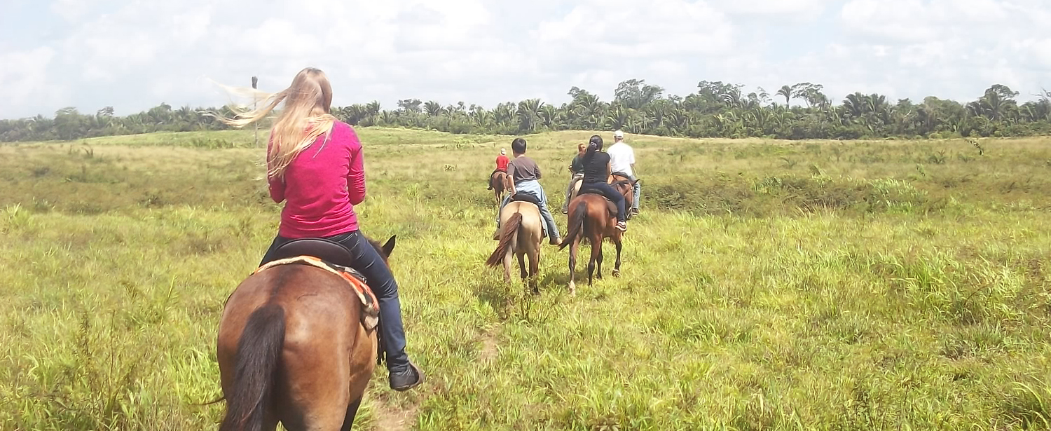 Belize Jungle Horseback Riding